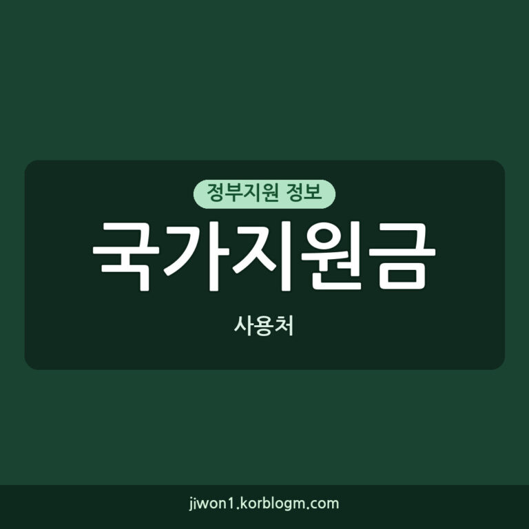 국가지원금 사용처 알아보는 법 2026년
