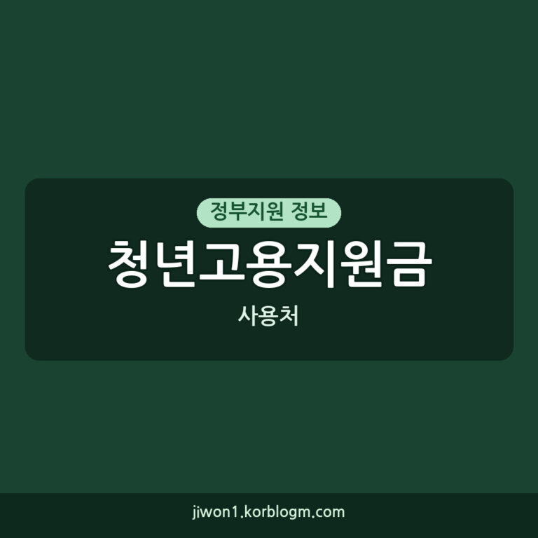 청년고용지원금 사용처에 대한 안내